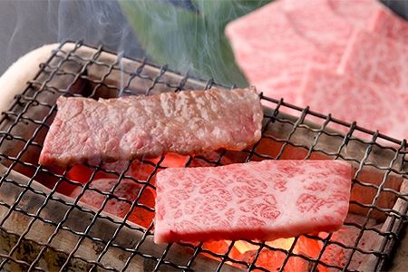 飛騨牛本日の希少部位・ランプ焼肉セット 各450g  牛肉 国産 ブランド牛