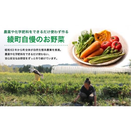 ふるさと納税 宮崎県 綾町 完熟 マンゴー 旬 野菜 セット 季節 限定 新鮮 美味しい 宮崎 果物 フルーツ 先行受付 送料無料（04-76）