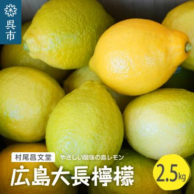 ふるさと納税 呉市  国産檸檬(レモン)の産地　広島大長檸檬　2.5kg