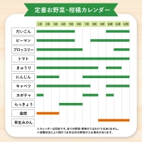 旬鮮野菜と果物のセット（12～14品目）