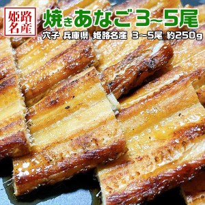 焼きあなご 3～5尾セット 約250g  姫路名産 穴子 ｜ 遅れてごめんね敬老の日・お歳暮・お正月のおせちに