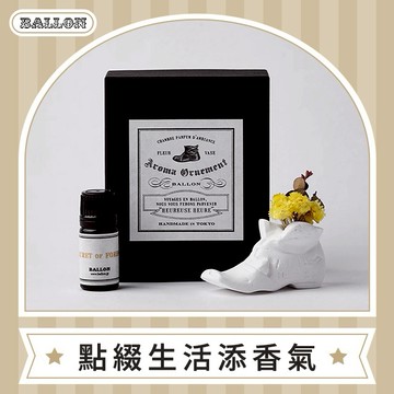 【BALLON】石膏裝飾花瓶擴香(不含精油) - 丹尼爾 Daniel 生日禮物 聖誕禮物