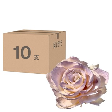 索拉花 碎邊牡丹  單顆裝  霧紫