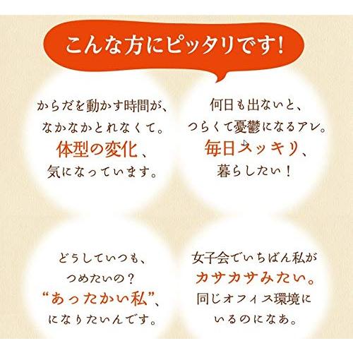 さっちゃんの酵素玄米ごはん　熟成３日と５日ミックス　酵素玄米セット (３日１４パックと５日７パック)