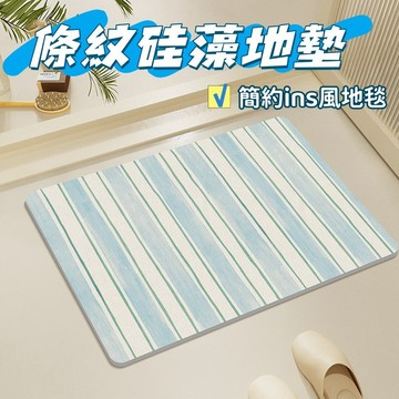 現貨☁️簡約風硅藻地墊 條紋硅藻土地墊 ins風軟地毯 吸水地墊 腳踏墊 浴室地墊 防滑墊 玄關墊 地墊 居家地墊 家用