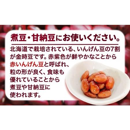 ふるさと納税 令和5年度産 北海道十勝 本別町産 金時豆 4kg 本別町農業協同組合《60日以内に順次出荷(土日祝除く)》北海道 本別町 豆 送料無料 北海道本別町