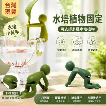 🐎現  新款水培植物生長伴侶水培器皿扶正扶枝桌麵裝飾固定造型防倒伏葉  SXW0