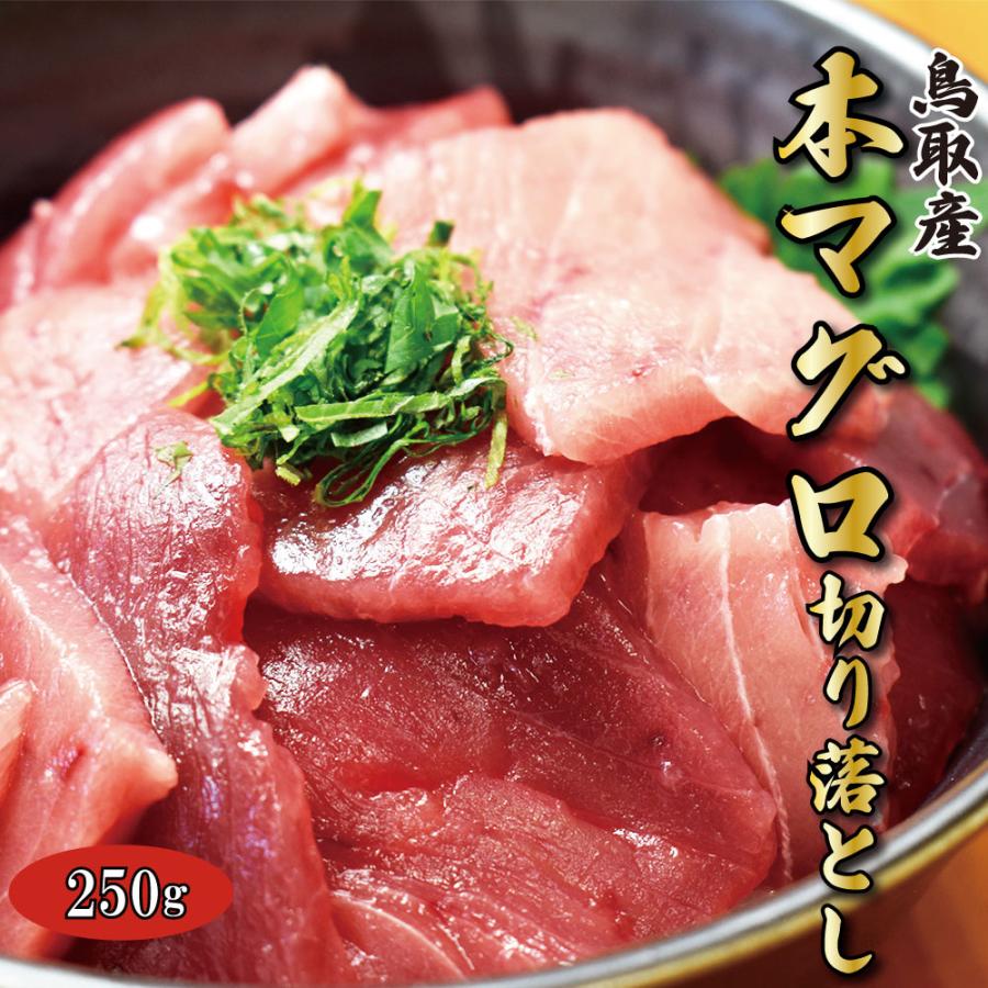 本マグロ トロ 赤身 国産 250ｇ とろ 鮪 本まぐろ まぐろ 刺身 鮪 切り落とし 鳥取産 冷凍刺身 冷凍マグロ 送料無料