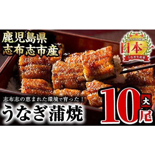 ふるさと納税 鹿児島県 志布志市 うなぎの大楠＜大＞10尾セット計1.5kg(150g×10) f7-001