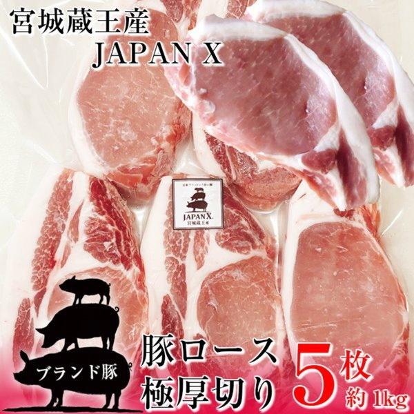 豚ロース とんかつ ステーキ 極厚切り 5枚 約1kg 豚肉 ポーク 国産 蔵王牧場 JAPAN X