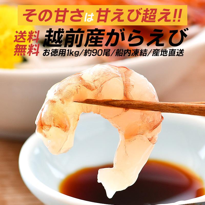 ガラエビ がらえび がらエビ 1kg 500g×2箱 ガマエビ ガサエビ モサエビ 刺身 越前産 福井県 お歳暮 ギフト