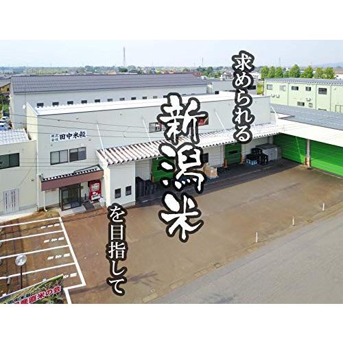 田中米穀 もち米 新潟県産 わたぼうし 1kg