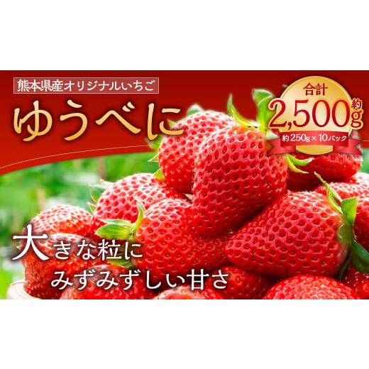 ふるさと納税 熊本県  ゆうべに いちご 250g × 10パック 合計 2.5kg 苺 イチゴ フルーツ 果物 くだもの