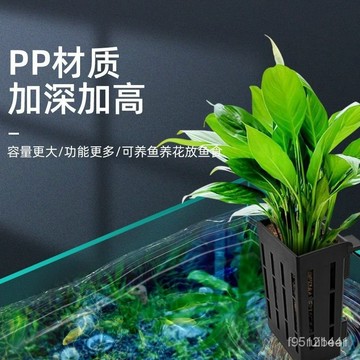 🚚台灣12H🚚【魚缸定植盆／水培植物籃】壁掛工具收納 水培籃 水耕植物 水培植物 植物籃 水培定植籃 水草定植杯 定植籃