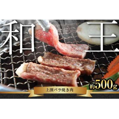 ふるさと納税 山鹿市 熊本和王　厳選バラ焼き肉　500g