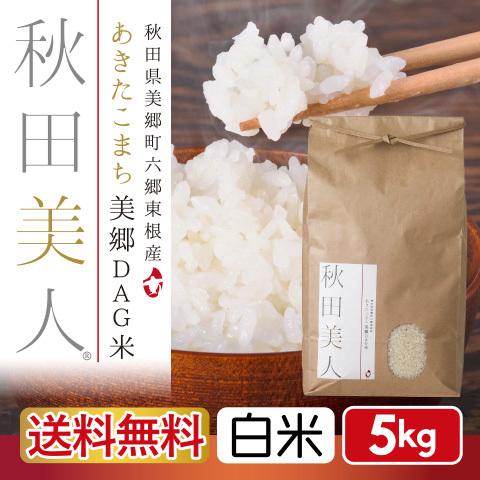 白米 5kg お米 あきたこまち 送料無料 秋田県産 一等米 秋田美人 令和３年産 うるち米 精白米 ごはん