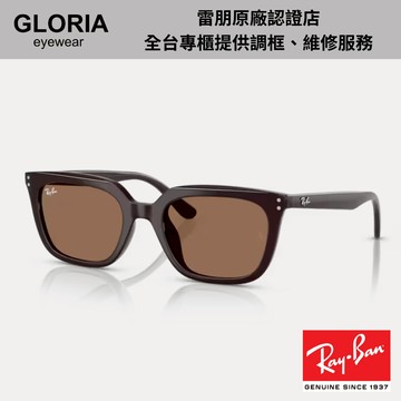 Ray Ban｜RB4439D-623173 方形膠框太陽眼鏡【葛洛麗雅眼鏡】
