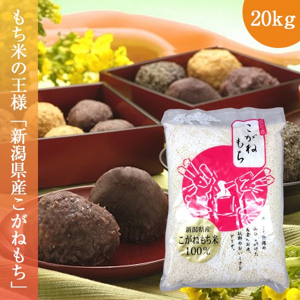 もち米 20kg こがねもち 令和5年産 お米 新潟県産 送料無料  (1kg×20袋)