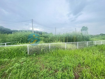 六甲近嘉南大圳灌溉水源豐沛都計內農地｜台南市六甲區六甲段