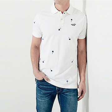 HCO Hollister 海鷗 經典刺繡標誌短袖Polo衫-白色