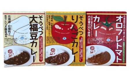 北海道壮瞥産　お米とレトルトカレー3種セット