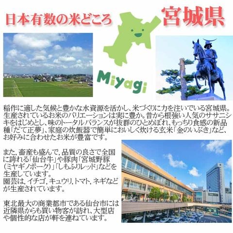 新米 米 お米 おこめ 令和5年産  ササニシキ 玄米20kg 10kg袋×2  (白米に精米後9kg×2袋 )宮城県産 白米・無洗米・分づきにお好み精米 送料無料 当日精米