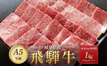 飛騨牛Ａ5 赤身肉 焼肉用 1kg（500g×2パック） モモ 又は カタ 肉 ｜国産 肉 牛肉 焼肉 和牛 黒毛和牛 赤身 グルメ A5等級 おすすめ AD125 