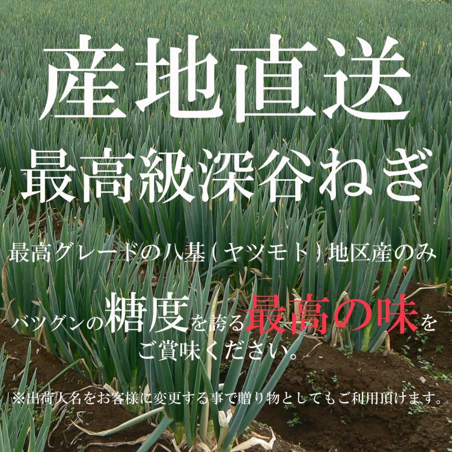 鮮度が違う!! 産地直送 最高級 深谷ねぎ 泥付10kg 八基地区産 抜群の甘さ 特産品 ネギ 渋沢栄一の故郷 NG10