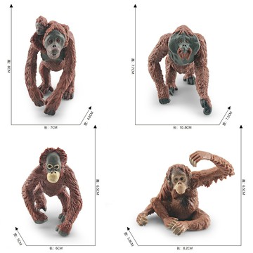 🌈「探夢動物模型」仿真野生動物猩猩模型兒童認知婆羅洲紅毛猩猩沙盤裝飾擺件