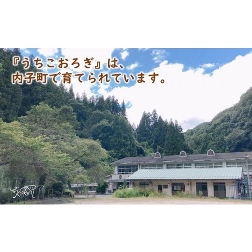 ふるさと納税 愛媛県 内子町 コオロギビスクカレーセット（180g×4個）