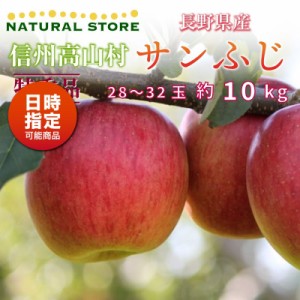 [予約 2023年 11月25日-12月10日の納品] 特秀 サンフジ 28-32玉 約10kg 大玉 りんご 長野県 冬ギフト お歳暮 御歳暮