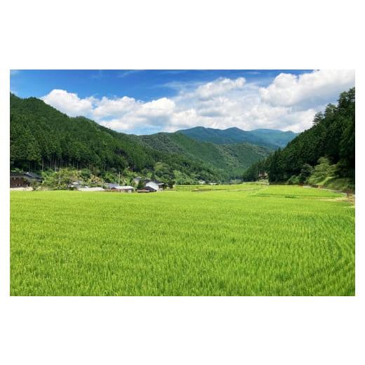 ふるさと納税 岡山県 西粟倉村 白米 5kg 令和5年産 あきたこまち 岡山 あわくら米米倶楽部 K-bf-BCZA