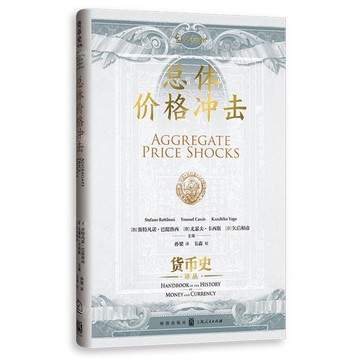 總體價格衝擊(精)/貨幣史譯叢丨天龍圖書簡體字專賣店丨9787543236530 (tl2520)