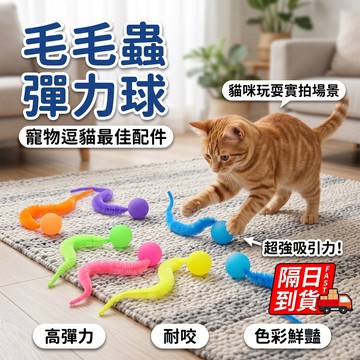 毛毛蟲彈力球 隔日到貨 七彩彈力球毛毛蟲 逗貓玩具 寵物玩具球 寵物玩具球逗貓球 貓咪彈力球 QJ3273