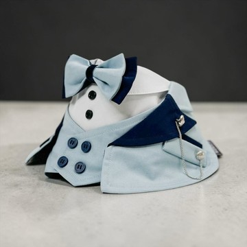Kingsway (3-Light Sky Blue) | Pet Neckwear