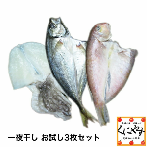 宇和海朝獲れ鮮魚の一夜干しお試し3枚セット「釣アジ・アマダイ・スミイカ」【鮮度抜群CAS