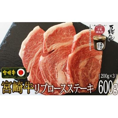 ふるさと納税 高千穂町 宮崎牛 リブロースステーキ600g 万能だれ付き