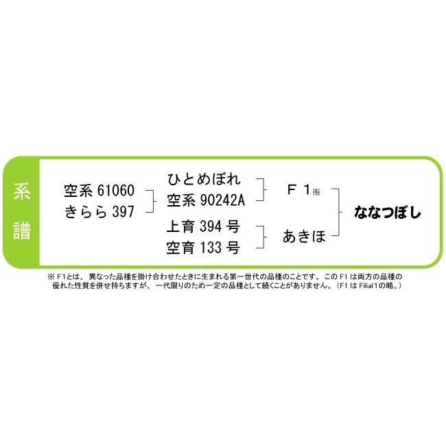 北海道産 ななつぼし 極 令和5年産 25kg　送料無料 精米 白米（5kg×5袋）特Ａ産地限定　真空パック対応 米 お米