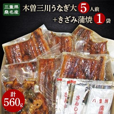 ふるさと納税 桑名市 木曽三川うなぎ大5人前 きざみ蒲焼 ba07 - 魚