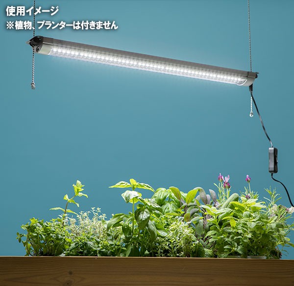 グローライト基本型・57cm（LED植物育成ライト）