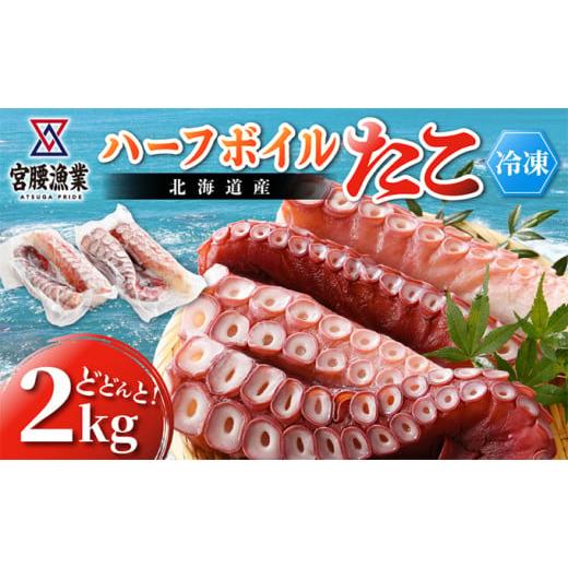 ふるさと納税 北海道 日高町 ハーフボイルタコ 2kg 