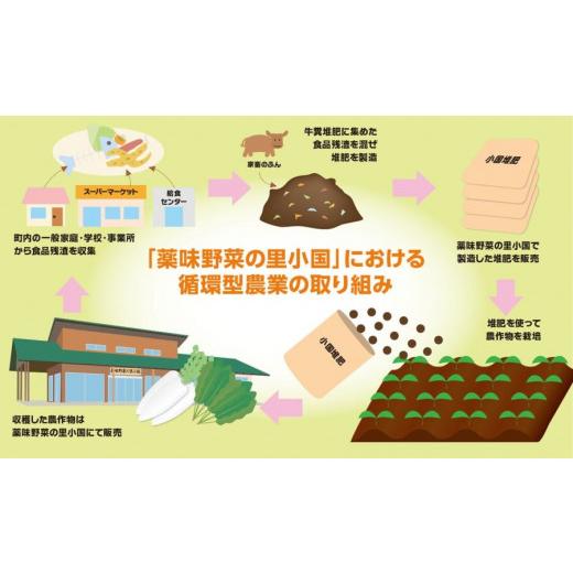 ふるさと納税 熊本県 小国町 阿蘇小国産・旬の野菜とお米5kgの詰め合わせ