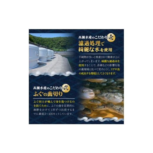 ふるさと納税 大分県 佐伯市 虎ふぐセット(4-5人前)