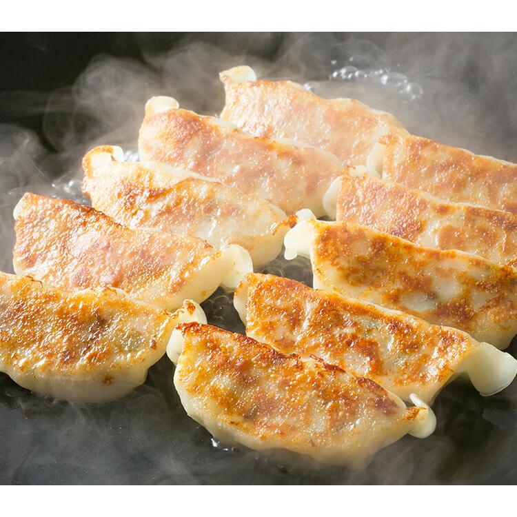 餃子 取り寄せ 肉餃子 20g 60個(15個×4パック) メディア掲載 受賞歴 多数！ paou 包王 冷凍便 同梱不可 指定日不可 産直