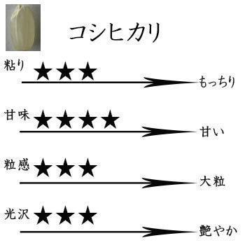 米 環境こだわり農産物 コシヒカリ 白米 滋賀県近江八幡産 内野営農組合 令和4年産 (白米10kg)