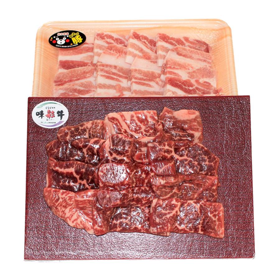 熊本県産味彩牛と肥後あそび豚焼肉 セット 計500g 豚肉