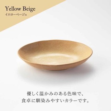 日本製美濃燒 沙拉盤 義大利麵盤 五色可選