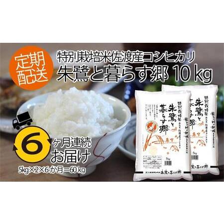 ふるさと納税 佐渡産コシヒカリ・朱鷺と暮らす郷10kg（5kg×2） 新潟県佐渡市