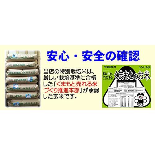 新米 令和5年産 熊本 阿蘇 コシヒカリ 特別栽培 5kg 出荷日精米 (３分づき（精米後約4.85kg）)