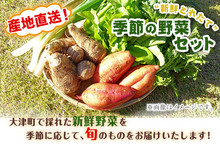 熊本県大津町産 季節の野菜セット(6～8種類)《60日以内に順次出荷(土日祝除く)》野菜 冷蔵 JA菊池 大津中央支所 とれたて市場---so_cozuyasai_60d_20_13500_8i---